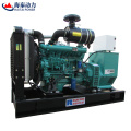 China Factory 10 kW-300KW hohe Qualität billig Elektrische Automatik Open Stummypen Typ Ricardo Generator Preis